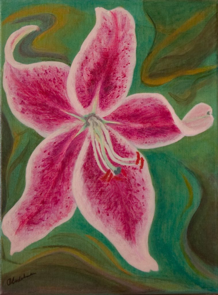 1002-tijgerlelie-40-30