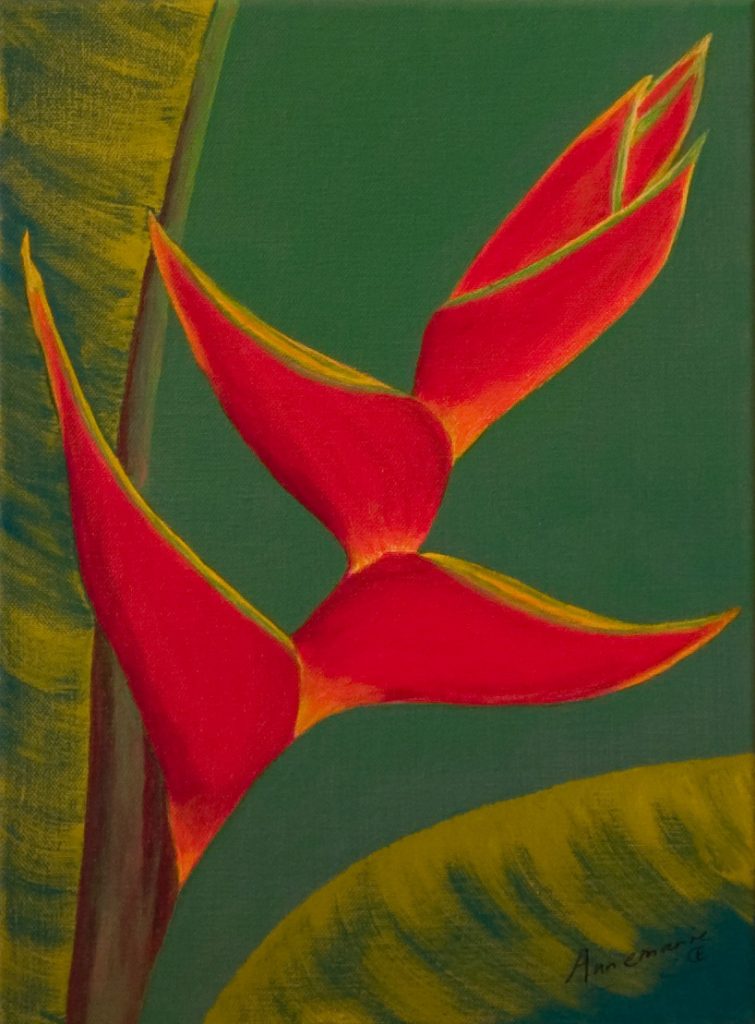 1003-papegaaiebloem-40-30