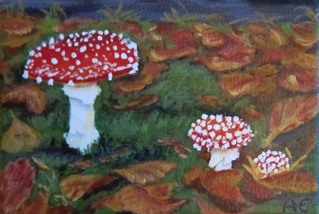 5441-paddestoelen-18x12